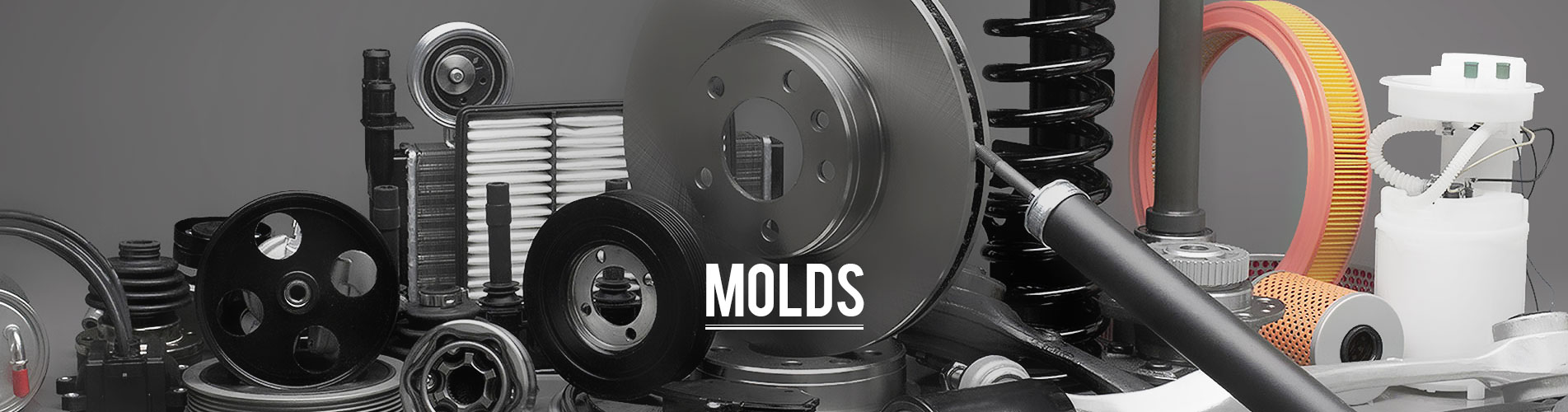 molds banner 2